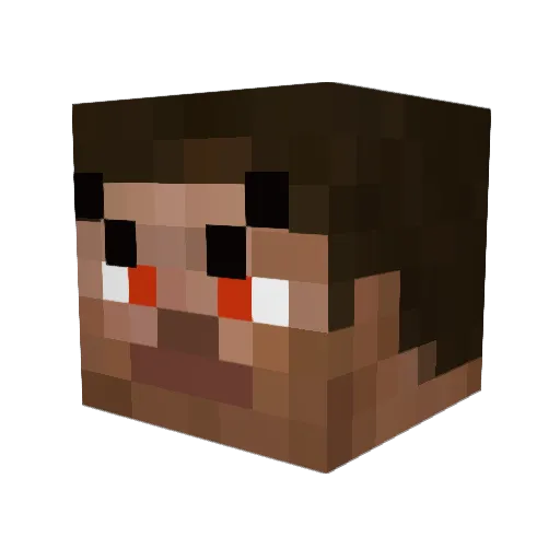 CastenR Minecraft avatar head, 3D render