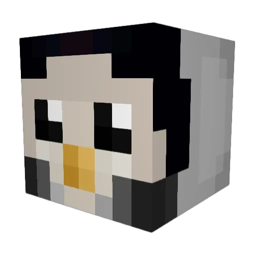 CasterCatthew Minecraft avatar head, 3D render