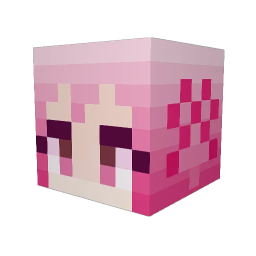 CastersFather Minecraft avatar head, 3D render