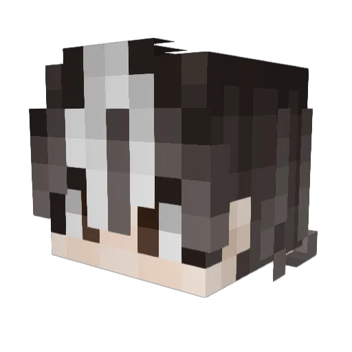 Castiel007 Minecraft avatar head, 3D render