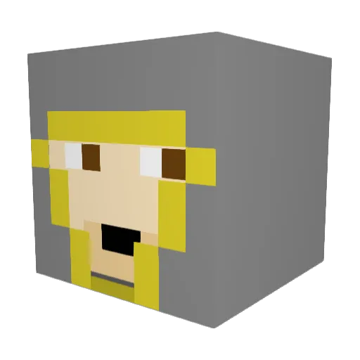 CastleDefender51 Minecraft avatar head, 3D render
