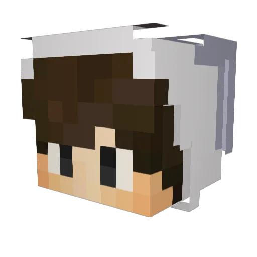 CastleJoker Minecraft avatar head, 3D render
