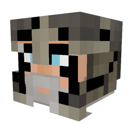 CastleThrasher Minecraft avatar head, 3D render
