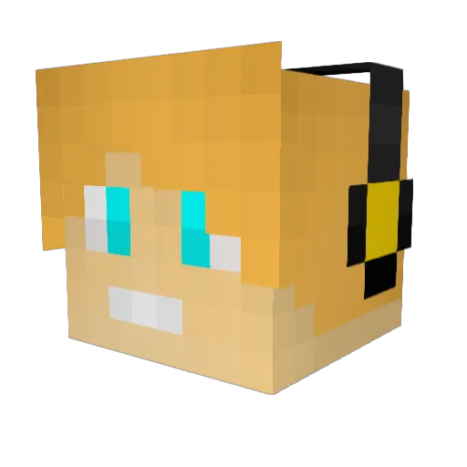 Castle_Miner50 Minecraft avatar head, 3D render