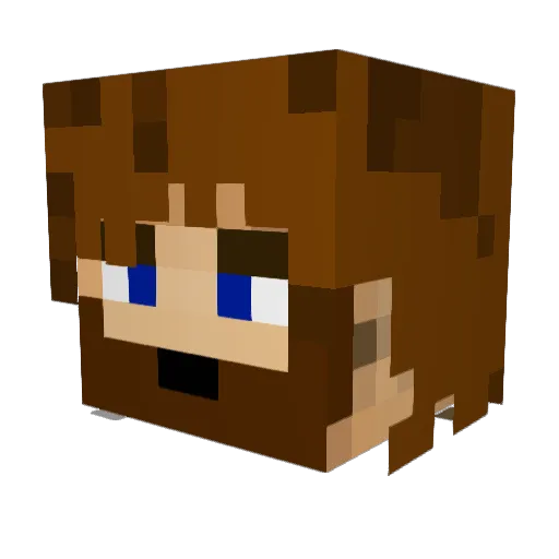 Castlepaster Minecraft avatar head, 3D render