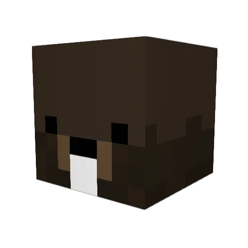 Casto_ Minecraft avatar head, 3D render