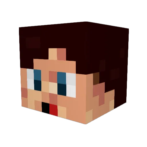 Castor_Plays Minecraft avatar head, 3D render
