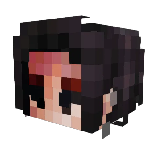 Castor_Sugar Minecraft avatar head, 3D render