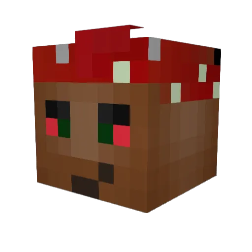 CastrixNinja Minecraft avatar head, 3D render