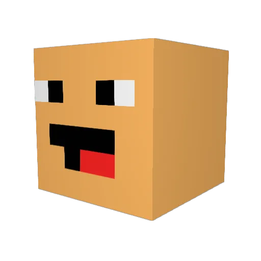 CastroisOk Minecraft avatar head, 3D render