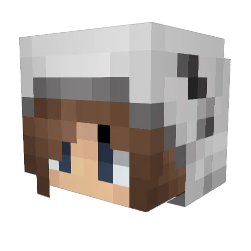 Casu9 Minecraft avatar head, 3D render