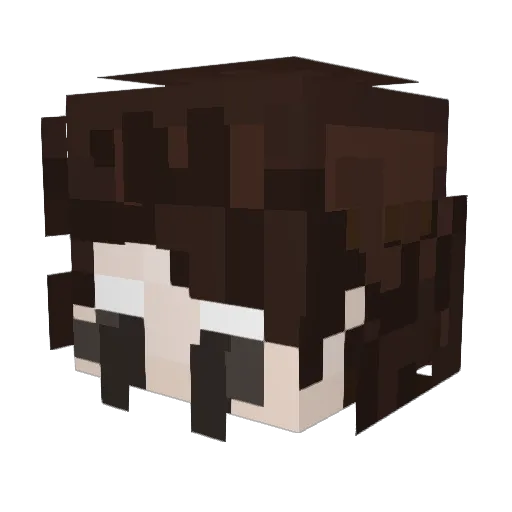 CasuGames Minecraft avatar head, 3D render