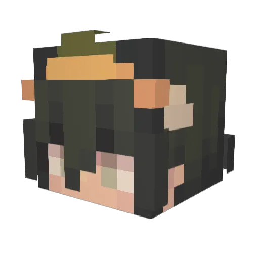 CasualPickle Minecraft avatar head, 3D render