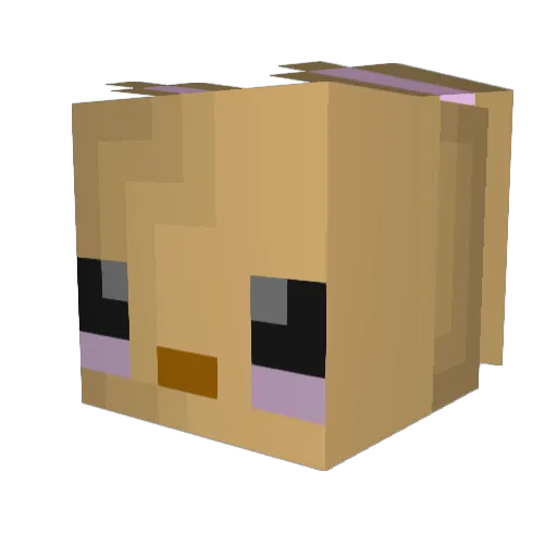 CasualPokePlayer Minecraft avatar head, 3D render