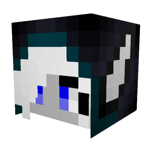 Casusey Minecraft avatar head, 3D render