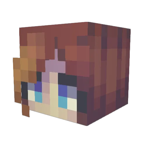 Caswys Minecraft avatar head, 3D render