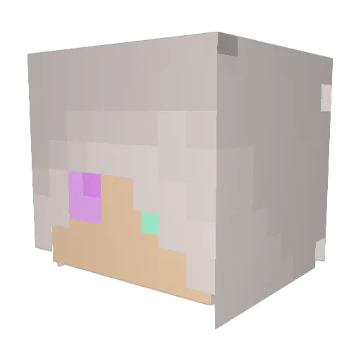 Cat1sh Minecraft avatar head, 3D render