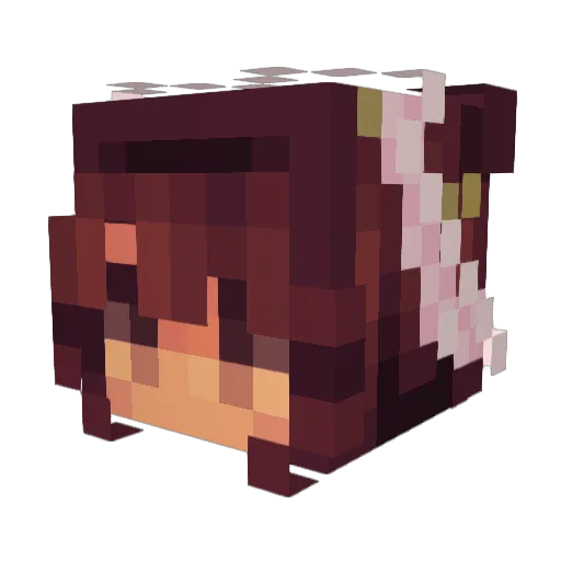 Cat8861 Minecraft avatar head, 3D render