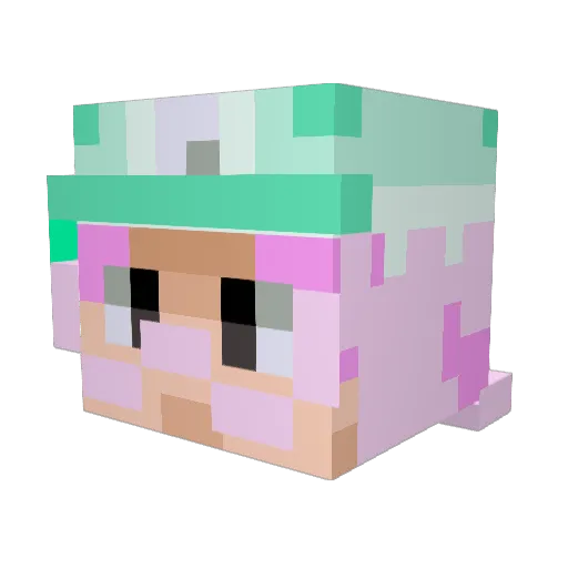 CatAssTrophy Minecraft avatar head, 3D render