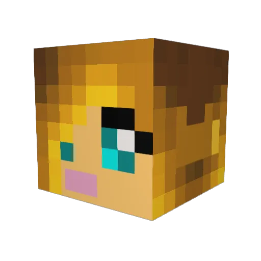 CatAttack147 Minecraft avatar head, 3D render