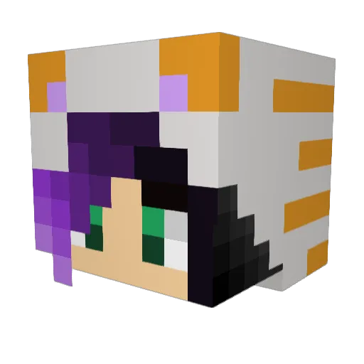 CatAttack7 Minecraft avatar head, 3D render