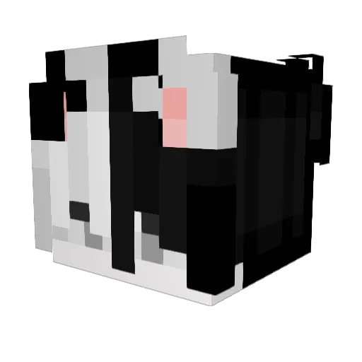CatB700 Minecraft avatar head, 3D render