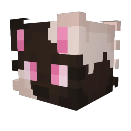 CatBoiGaming Minecraft avatar head, 3D render