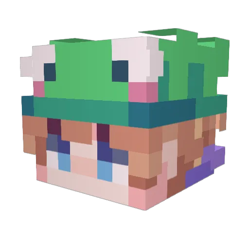 CatBoyGaymer68 Minecraft avatar head, 3D render