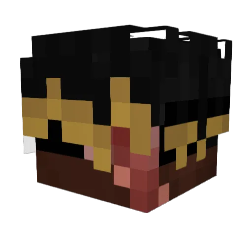 CatBoyJay__ Minecraft avatar head, 3D render
