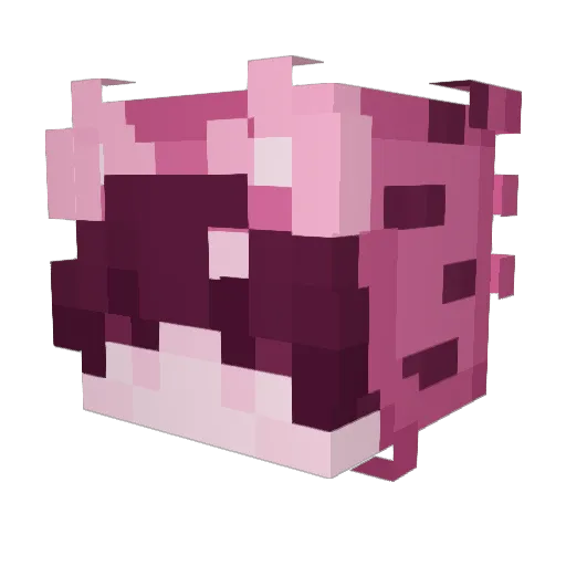 CatBoyMag Minecraft avatar head, 3D render