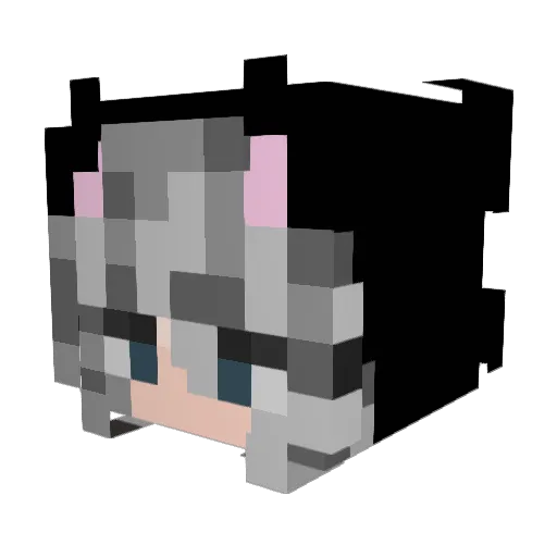 CatBri_ Minecraft avatar head, 3D render