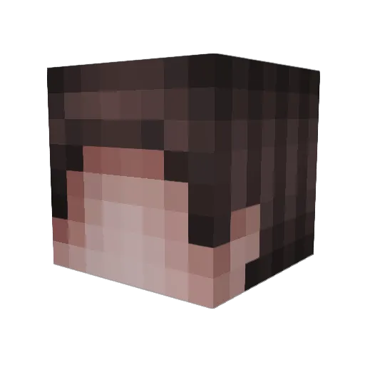 CatBug92 Minecraft avatar head, 3D render