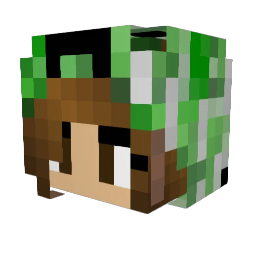 CatCatcher1234 Minecraft avatar head, 3D render