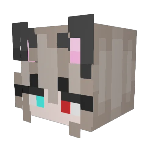 CatChan991 Minecraft avatar head, 3D render
