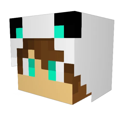 CatClaw16 Minecraft avatar head, 3D render