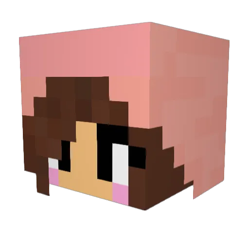 CatCraft24 Minecraft avatar head, 3D render