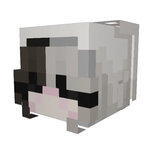 CatDrag0n1 Minecraft avatar head, 3D render