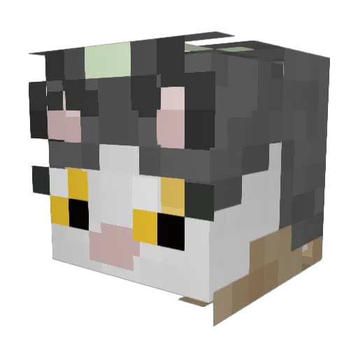 CatEatDog Minecraft avatar head, 3D render