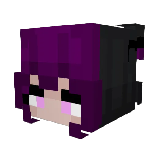 CatGamingStudios Minecraft avatar head, 3D render