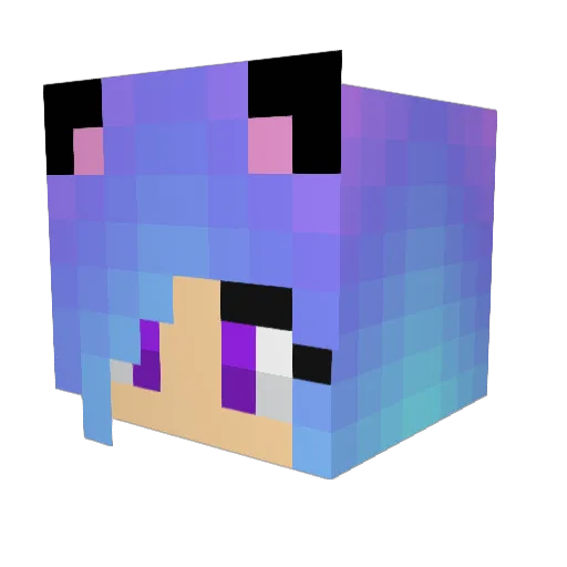 CatGirl17632 Minecraft avatar head, 3D render