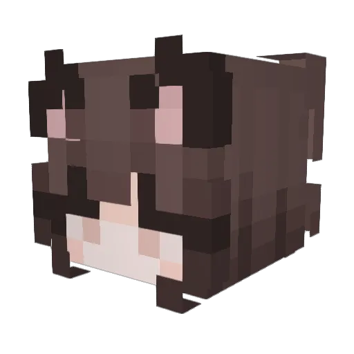 CatGirlsOnMe Minecraft avatar head, 3D render