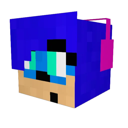 CatHedgehog3567 Minecraft avatar head, 3D render