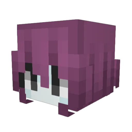 CatInADogsWorld Minecraft avatar head, 3D render