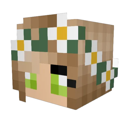 CatKY Minecraft avatar head, 3D render