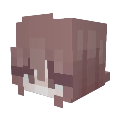 CatKuschel Minecraft avatar head, 3D render