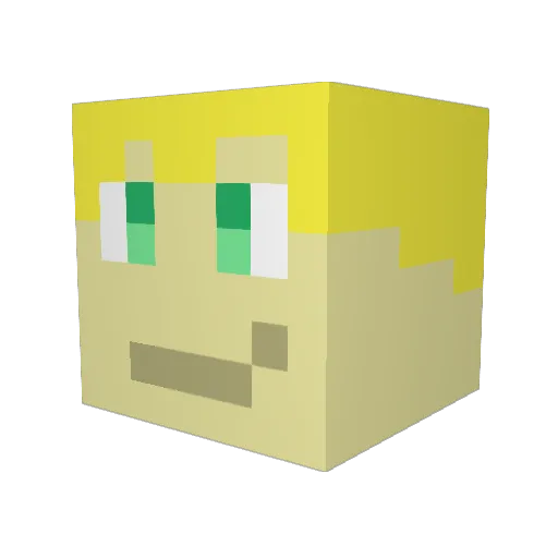 CatLawyer_tm Minecraft avatar head, 3D render
