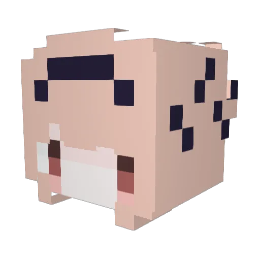 CatLogic Minecraft avatar head, 3D render