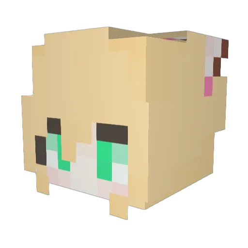 CatLover07 Minecraft avatar head, 3D render