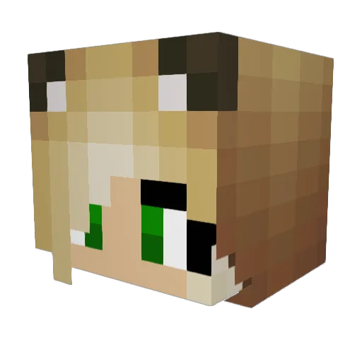 CatLover270 Minecraft avatar head, 3D render