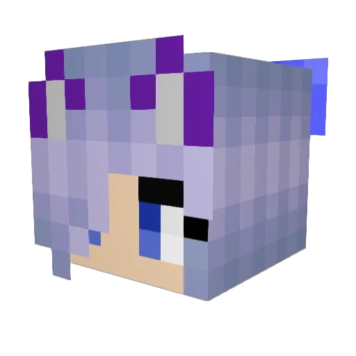 CatLover503 Minecraft avatar head, 3D render